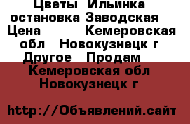 Цветы! Ильинка! остановка Заводская! › Цена ­ 100 - Кемеровская обл., Новокузнецк г. Другое » Продам   . Кемеровская обл.,Новокузнецк г.